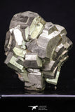 20324 - Beautiful 2.33 Inch Pyrite Crystals from famous Navajun Mines (Spain)