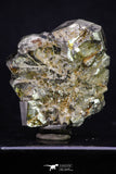 20324 - Beautiful 2.33 Inch Pyrite Crystals from famous Navajun Mines (Spain)