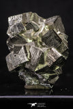 20325 - Beautiful 2.04 Inch Pyrite Crystals from famous Navajun Mines (Spain)