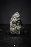 21372 - Top Rare "Tissint" MARTIAN Shergottite Meteorite 0.091g