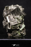 20325 - Beautiful 2.04 Inch Pyrite Crystals from famous Navajun Mines (Spain)