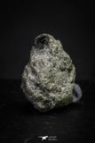 21373 - Top Rare "Tissint" MARTIAN Shergottite Meteorite 0.152g