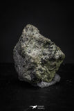 21373 - Top Rare "Tissint" MARTIAN Shergottite Meteorite 0.152g