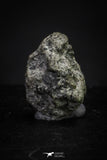 21373 - Top Rare "Tissint" MARTIAN Shergottite Meteorite 0.152g