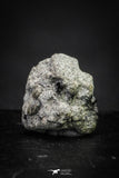 21374 - Top Rare "Tissint" MARTIAN Shergottite Meteorite 0.16g