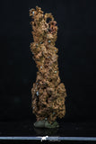 20326 - Top Beautiful 1.98 Inch Irregular Native Copper - Bou Nahas (South Morocco)