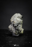 21374 - Top Rare "Tissint" MARTIAN Shergottite Meteorite 0.16g