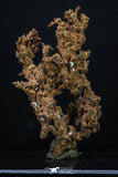 20326 - Top Beautiful 1.98 Inch Irregular Native Copper - Bou Nahas (South Morocco)