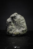 21374 - Top Rare "Tissint" MARTIAN Shergottite Meteorite 0.16g