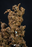 20326 - Top Beautiful 1.98 Inch Irregular Native Copper - Bou Nahas (South Morocco)