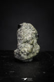 21374 - Top Rare "Tissint" MARTIAN Shergottite Meteorite 0.16g