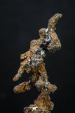 20327 - Top Beautiful 1.81 Inch Irregular Native Copper - Bou Nahas (South Morocco)