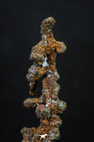 20327 - Top Beautiful 1.81 Inch Irregular Native Copper - Bou Nahas (South Morocco)
