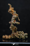20327 - Top Beautiful 1.81 Inch Irregular Native Copper - Bou Nahas (South Morocco)