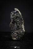 21376 - Top Rare "Tissint" MARTIAN Shergottite Meteorite 0.096g with Fusion Crust