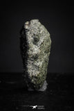 21376 - Top Rare "Tissint" MARTIAN Shergottite Meteorite 0.096g with Fusion Crust