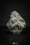 21377 - Top Rare "Tissint" MARTIAN Shergottite Meteorite 0.083g