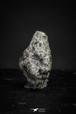 21377 - Top Rare "Tissint" MARTIAN Shergottite Meteorite 0.083g