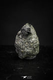 21378 - Top Rare "Tissint" MARTIAN Shergottite Meteorite 0.102g