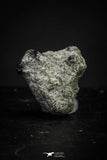 21378 - Top Rare "Tissint" MARTIAN Shergottite Meteorite 0.102g