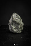 21378 - Top Rare "Tissint" MARTIAN Shergottite Meteorite 0.102g