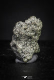 21379 - Top Rare "Tissint" MARTIAN Shergottite Meteorite 0.04g