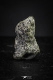 21379 - Top Rare "Tissint" MARTIAN Shergottite Meteorite 0.04g