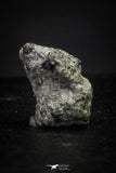 21379 - Top Rare "Tissint" MARTIAN Shergottite Meteorite 0.04g