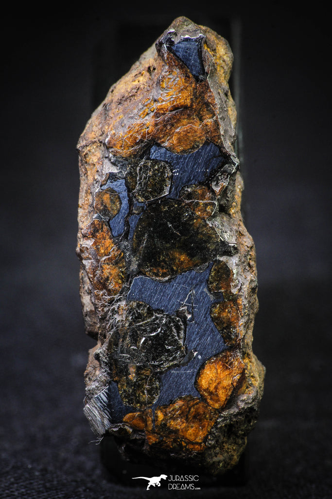 21380 - Sericho Pallasite Meteorite Polished Section 23.1g Fell in Kenya