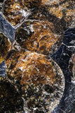 21381 -  Sericho Pallasite Meteorite Polished Section 24g Fell in Kenya