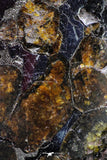 21382 -  Sericho Pallasite Meteorite Polished Section 21.3g Fell in Kenya