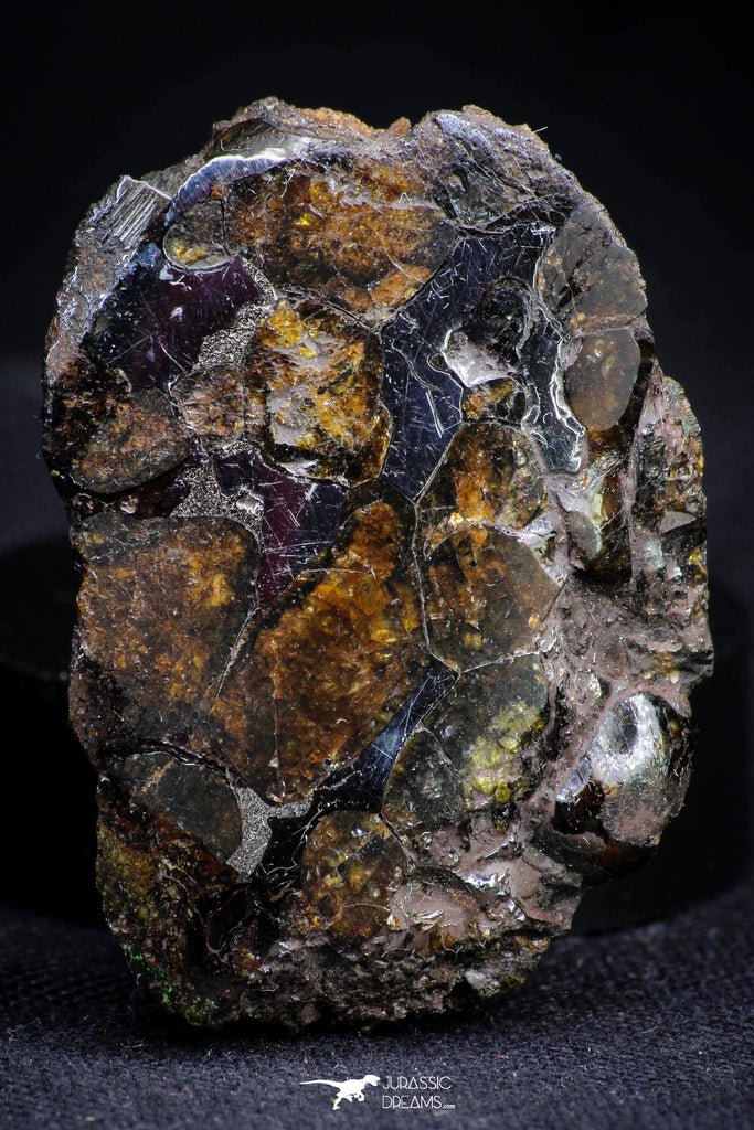 21382 -  Sericho Pallasite Meteorite Polished Section 21.3g Fell in Kenya