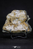 20334 - Beautiful 3.51 Inch Pyrite Crystals on Calcite from El Hammam Mine - Morocco