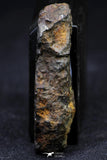 21380 - Sericho Pallasite Meteorite Polished Section 23.1g Fell in Kenya