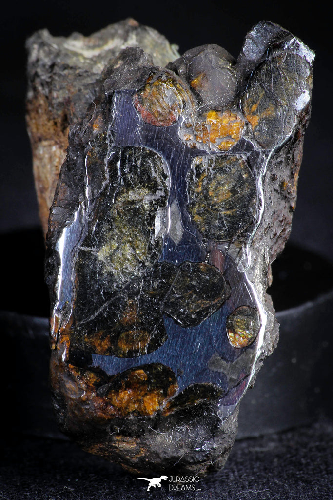 21383 -  Sericho Pallasite Meteorite Polished Section 20.4g Fell in Kenya