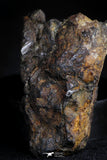 21383 -  Sericho Pallasite Meteorite Polished Section 20.4g Fell in Kenya