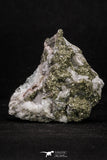 20336 - Beautiful 2.26 Inch Pyrite Crystals on Calcite from El Hammam Mine - Morocco