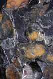 21384 - Sericho Pallasite Meteorite Polished Section 16.1g Fell in Kenya