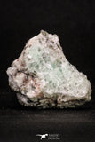20336 - Beautiful 2.26 Inch Pyrite Crystals on Calcite from El Hammam Mine - Morocco