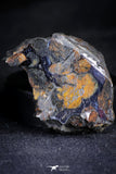 21384 - Sericho Pallasite Meteorite Polished Section 16.1g Fell in Kenya