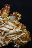 20337 - Beautiful Red Vanadinite Crystals on Barite Mibladen Mining District, Morocco