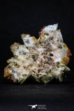 20337 - Beautiful Red Vanadinite Crystals on Barite Mibladen Mining District, Morocco