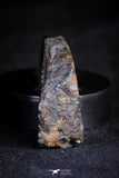 21384 - Sericho Pallasite Meteorite Polished Section 16.1g Fell in Kenya