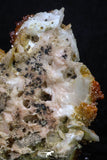 20337 - Beautiful Red Vanadinite Crystals on Barite Mibladen Mining District, Morocco