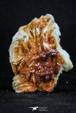 20338 - Beautiful Red Vanadinite Crystals on Barite Mibladen Mining District, Morocco