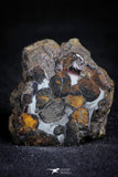 21385 - Sericho Pallasite Meteorite Polished Section 17.7g Fell in Kenya