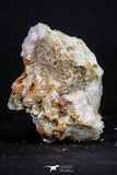 20338 - Beautiful Red Vanadinite Crystals on Barite Mibladen Mining District, Morocco