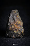 21385 - Sericho Pallasite Meteorite Polished Section 17.7g Fell in Kenya