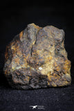 21385 - Sericho Pallasite Meteorite Polished Section 17.7g Fell in Kenya