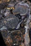 21385 - Sericho Pallasite Meteorite Polished Section 17.7g Fell in Kenya